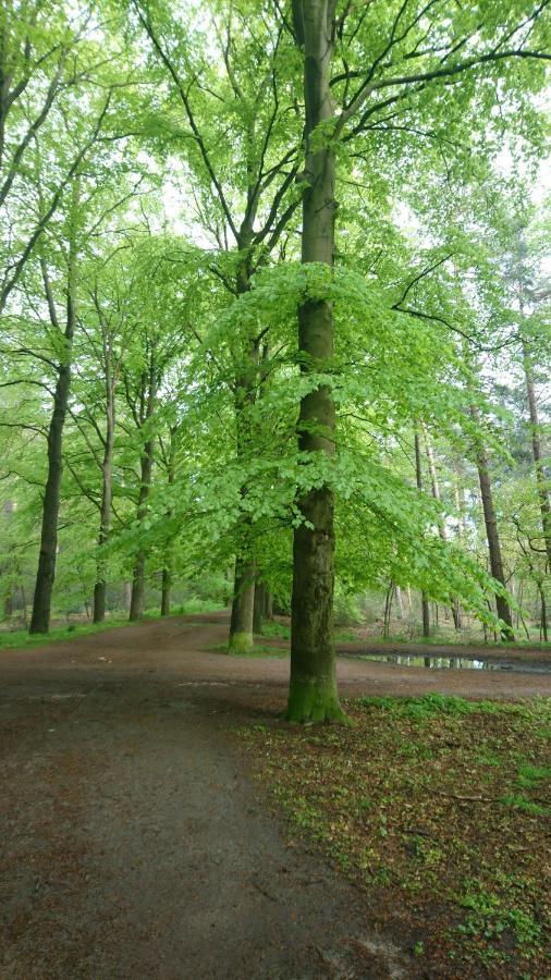 Overbosch Bilthoven Luaran gambar